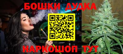 apvp Гусев