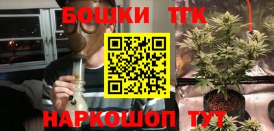 apvp Гусев