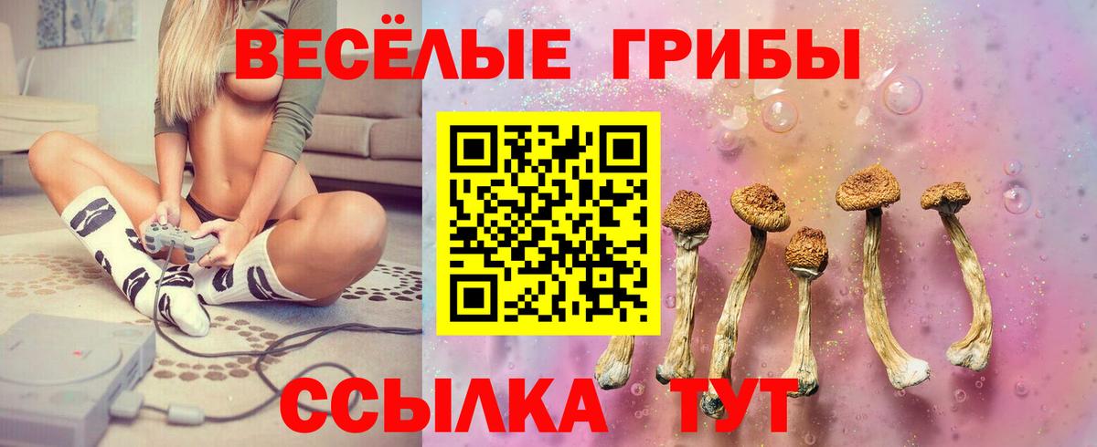 Ногинск  Псилоцибиновые грибы Psilocybine cubensis  Вход с VPN  Галлюциногенные грибы GOLDEN TEACHER 